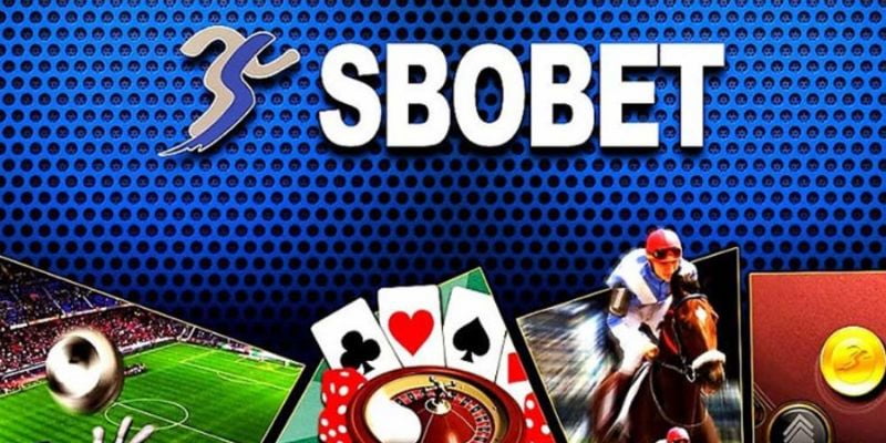 SBOBET 33WIN - Thế Giới Cá Cược Thể Thao Uy Tín